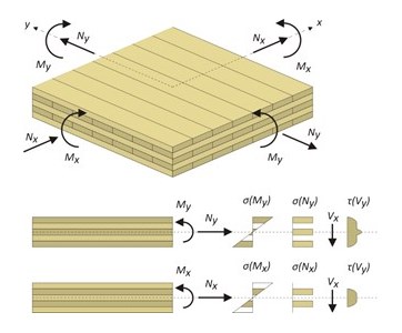Nowy moduł XLM - wymiarowanie drewnianych paneli krzyżowo klejonych tzw. CLT