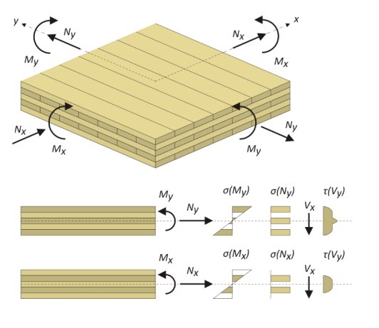 Obliczanie naprężeń w panelach CLT (nowy moduł XLM)